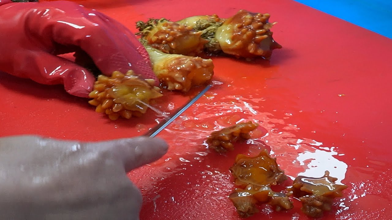 Assorted Seafood Sashimi - Korean Street Food