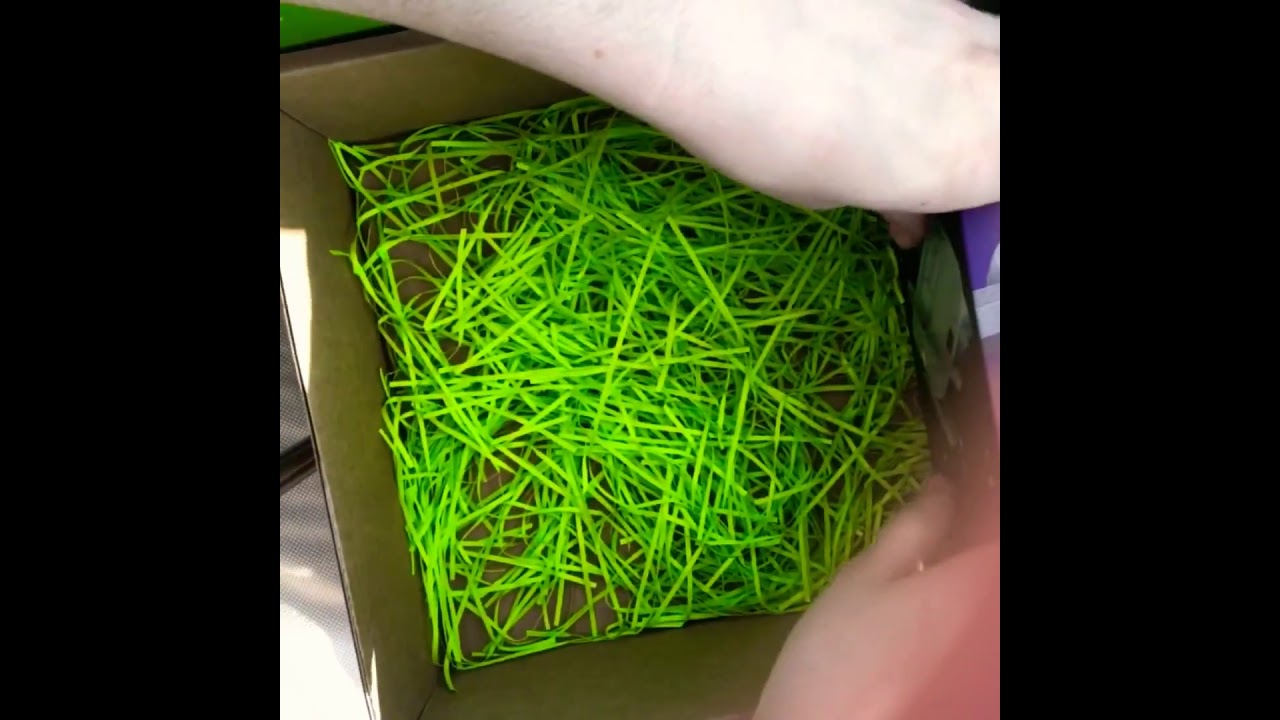 Magic box  сбор  Gadget box цена (1999₽)