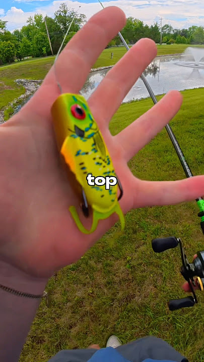 I Fished for Agressive Fish 🐟🎣