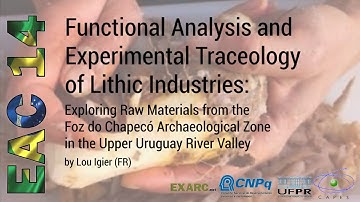 Functional Analysis and Experimental Traceology of Lithic Industries