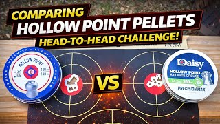Crosman Premier Hollow Points vs Daisy PrecisionMax – Which Pellet Wins?