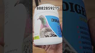 GREEN Beeth and Digestion problem solved in pigeons #kabootar #pigeon #kabootarbazi