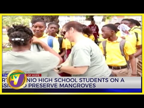 Port Antonio High School Students on a Mission to Preserve Mangroves | TVJ News