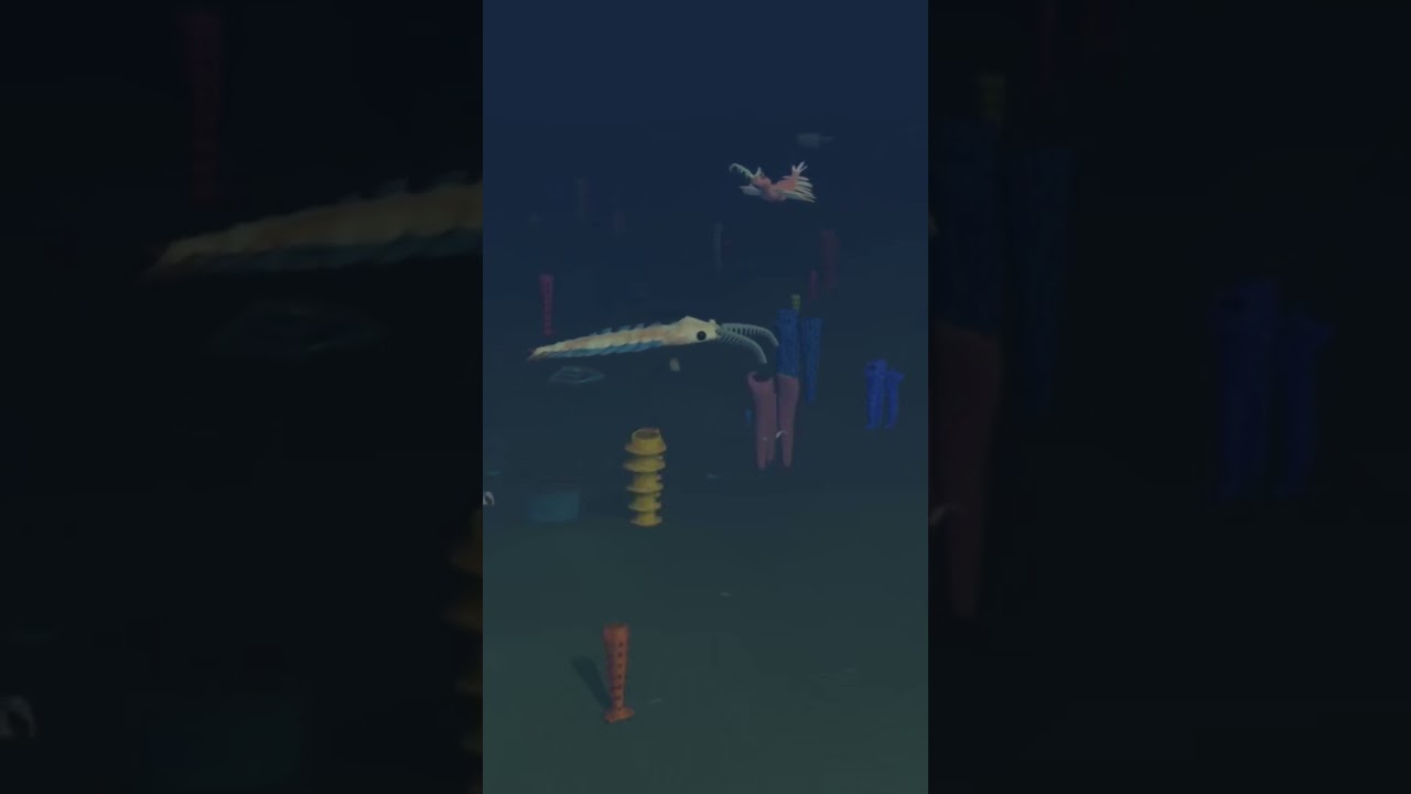 pov you’re visiting the cambrian period 😍 