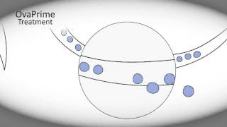 Ovascience Fertility Treatments - Whiteboard Video