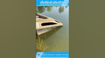 CÂU CÁ DIÊC LÊN ĐÔI LUÔN Ạ#Đồ Câu Hải Đăng