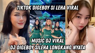 Tiktok Digeboy Si Leha Viral | MASH-UP DANCE 2023