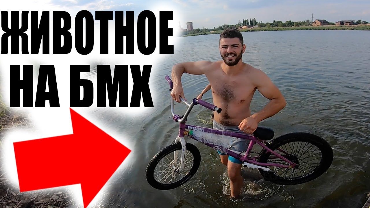Шкода прыгнула в питере