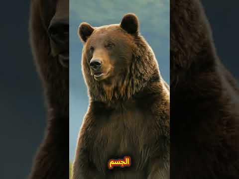 كيف يتم التكيف والتأقلم عند الحيوانات 