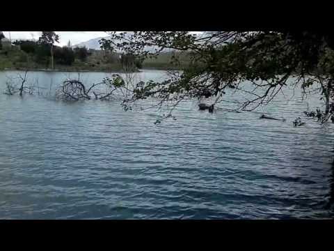 ИРГАНАЙ 1 КЛЕВОЕ МЕСТО