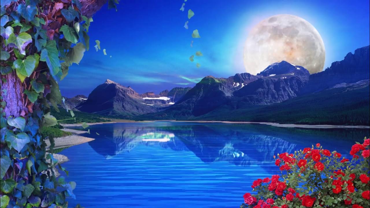 Nature Background Loop || Free Background || HD || 60 fps - YouTube