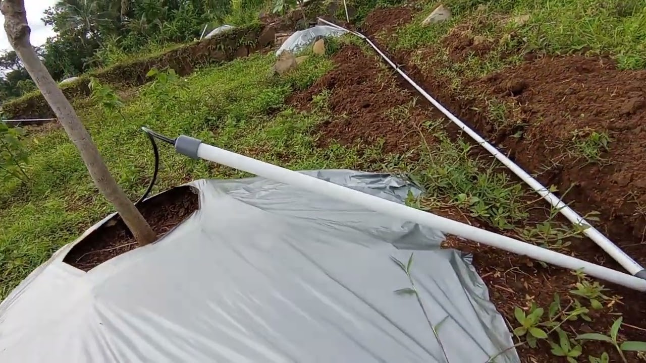Perbandingan Harga Pipa PVC dengan Pipa HDPE untuk Saluran Irigasi Semi Otomatis untuk Kebun Alpukat