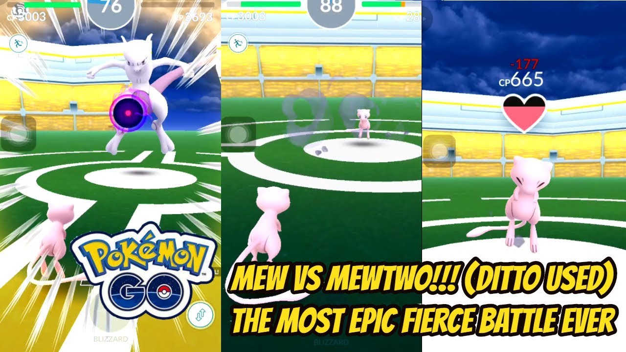 Mew vs Mewtwo, Pokemon go epic battle, Shadow mewtow, Pokemon go pvp