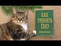 ТОП-14 способов ПОВАЛИТЬ ЁЛКУ – Туториал для кошек