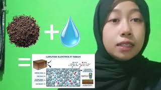 Perbandingan pH Tanah Sawah di Dua Lokasi dari Sisi Fisika