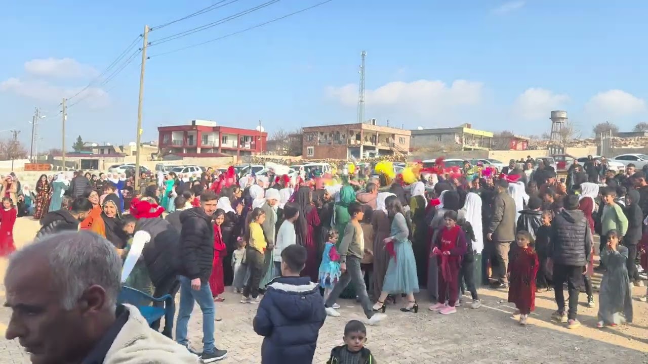 YENİ AŞİRET DÜĞÜNÜ /Derikli Hozan Memo 2025