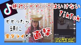 【閲覧注意】絶対にビビってはいけないTikTok【ホラー】