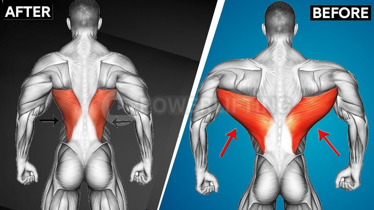 Do These 8 Effective Exercises To Build A Massive Back - Best Back ...