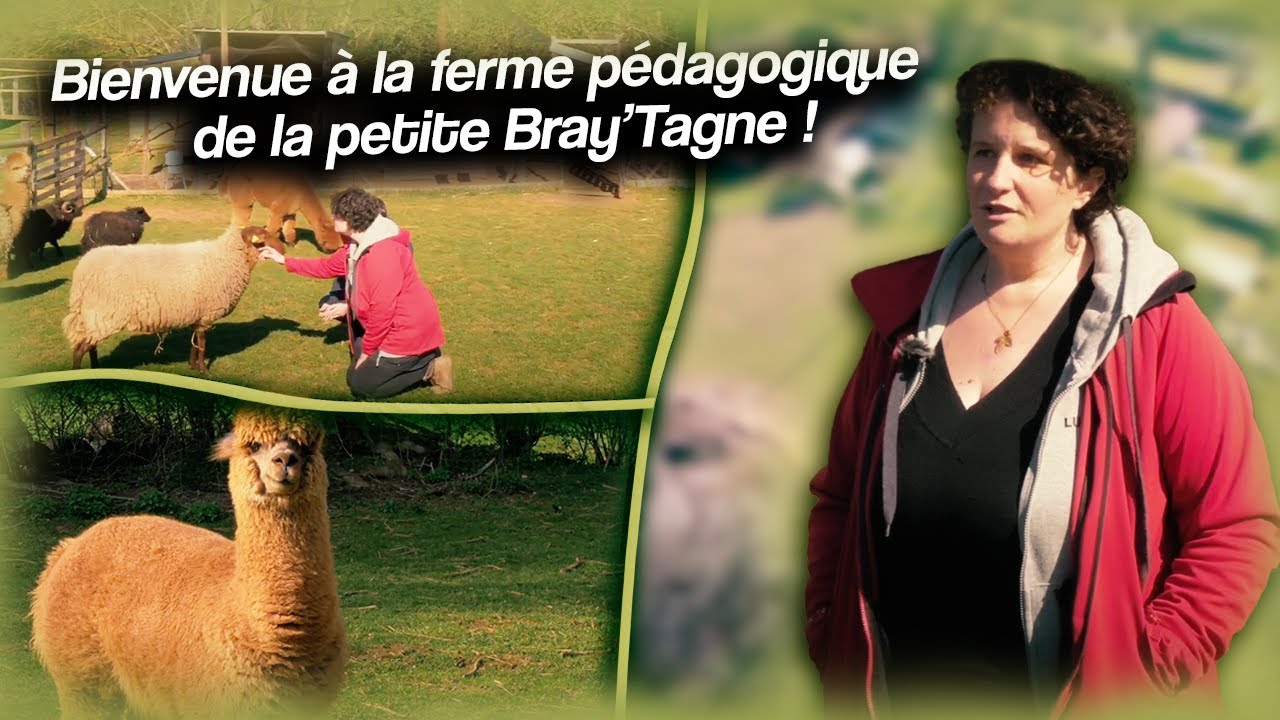 Bienvenue à la ferme pédagogique la petite Bray'tagne