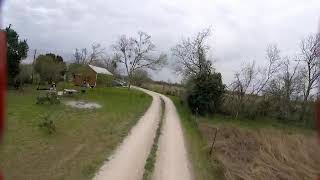Immersion Vortex 150 acro tuned in