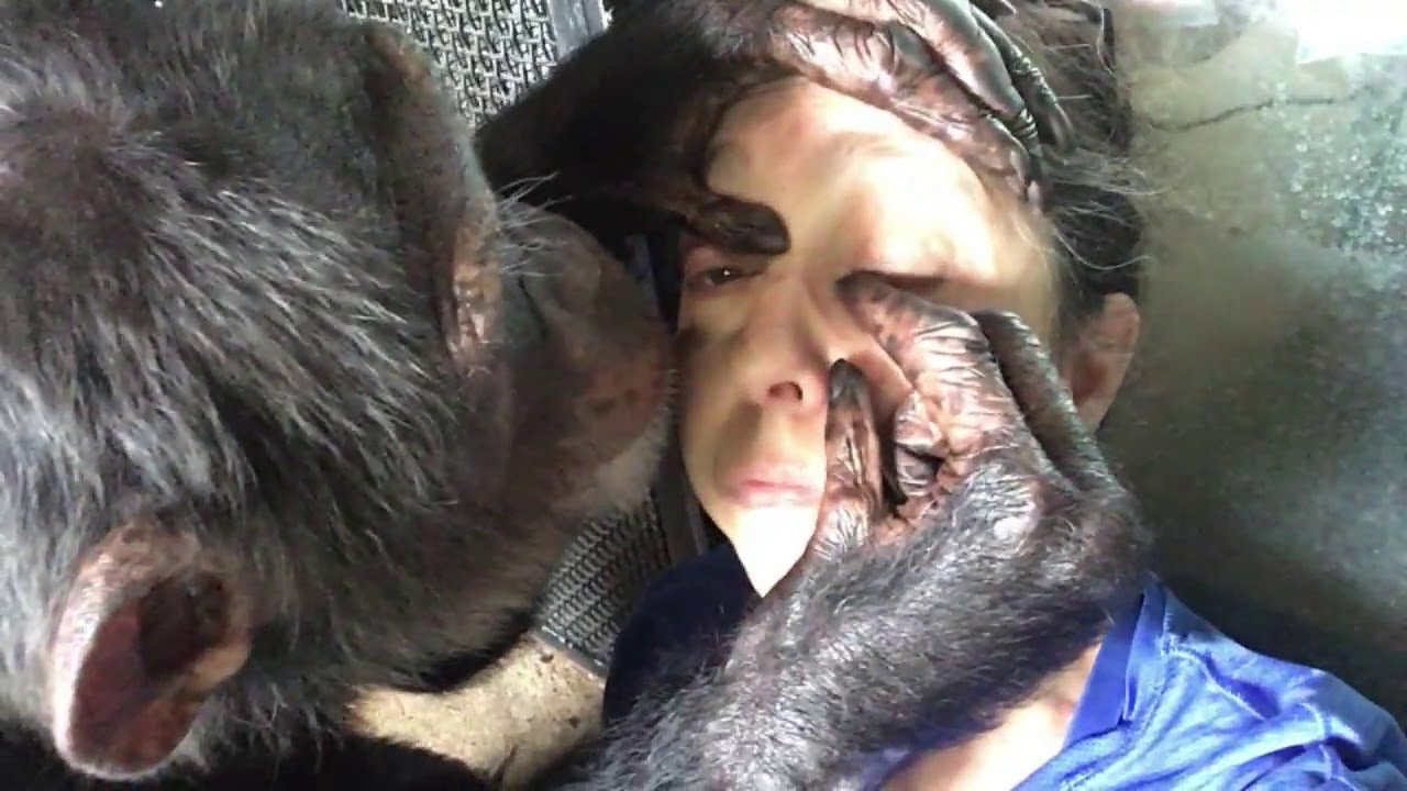 Concentrating on Grooming -- June 10, 2020 Concentrating on Grooming -- June 10, 2020