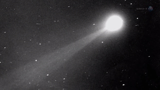 Celebrity The Comet of the Century - Sungrazing Comet ISON - Science at NASA Net Worth