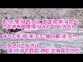 薄紅桜/逢川まさき カラオケ(♭4)
