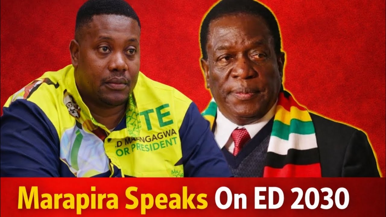 Shocking ED 2030 Revelation by Farai Marapira Sparks Outrage | Zimbabweans React