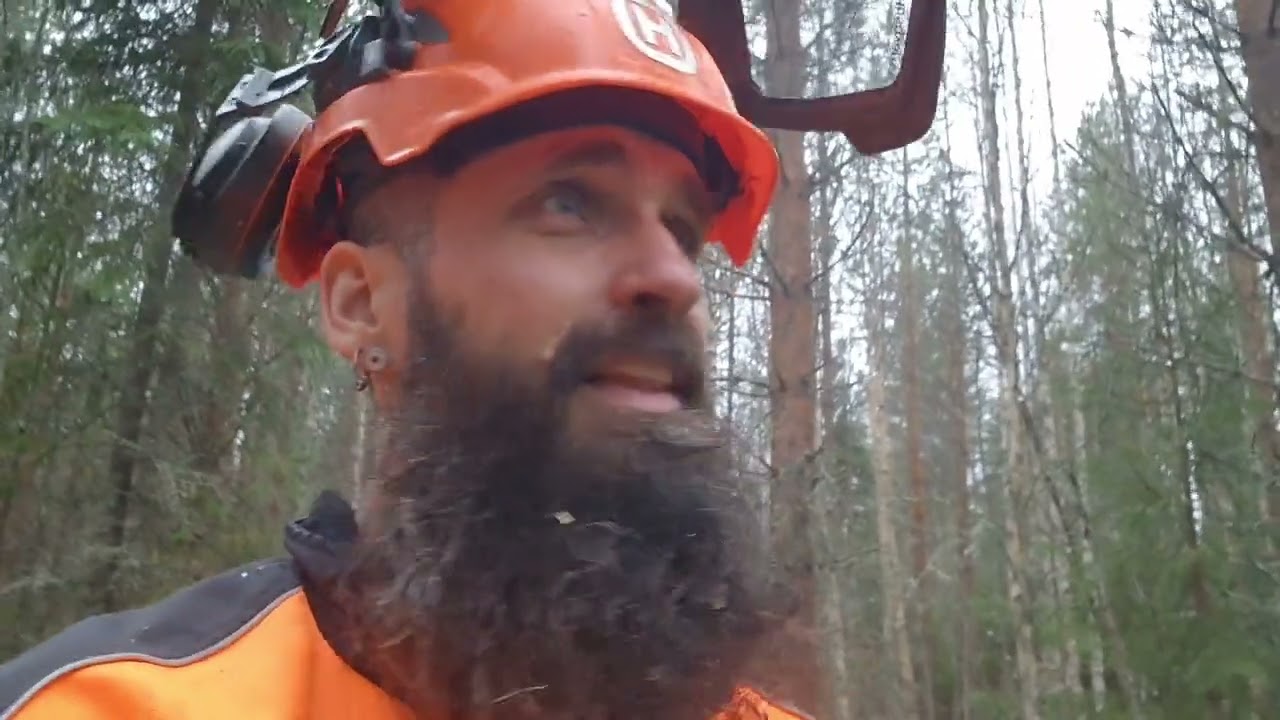 Ensiharvennusta ja porinointia.