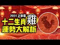 林海陽 準！準！準！2024生肖「雞」上半年運勢詳解‥快看‥！！