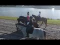 Track Walking at Palm Beach Equine Sports Complex