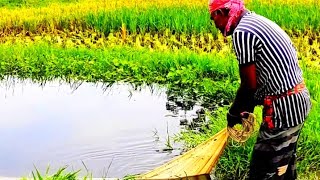 Net Fishing _ Net Fishing _ Amazing Net Fishing S