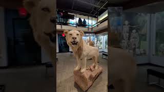 Osteology Museum In Oklahoma