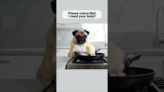 The Great Pug Egg Escape