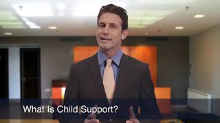 What Is Child Support | LawInfo by LawInfo.com 12 views 2 months ago 46 seconds