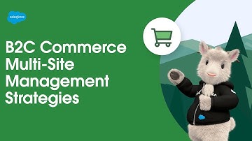 Multi-Site Management Strategies | B2C Commerce
