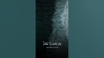 تلاوة القارئ عبدالله الموسى لقوله تعالى:﴿ قُلْ أَغَيْرَ اللَّهِ أَتَّخِذُ وَلِيًّا فاطِر السّماوات ﴾