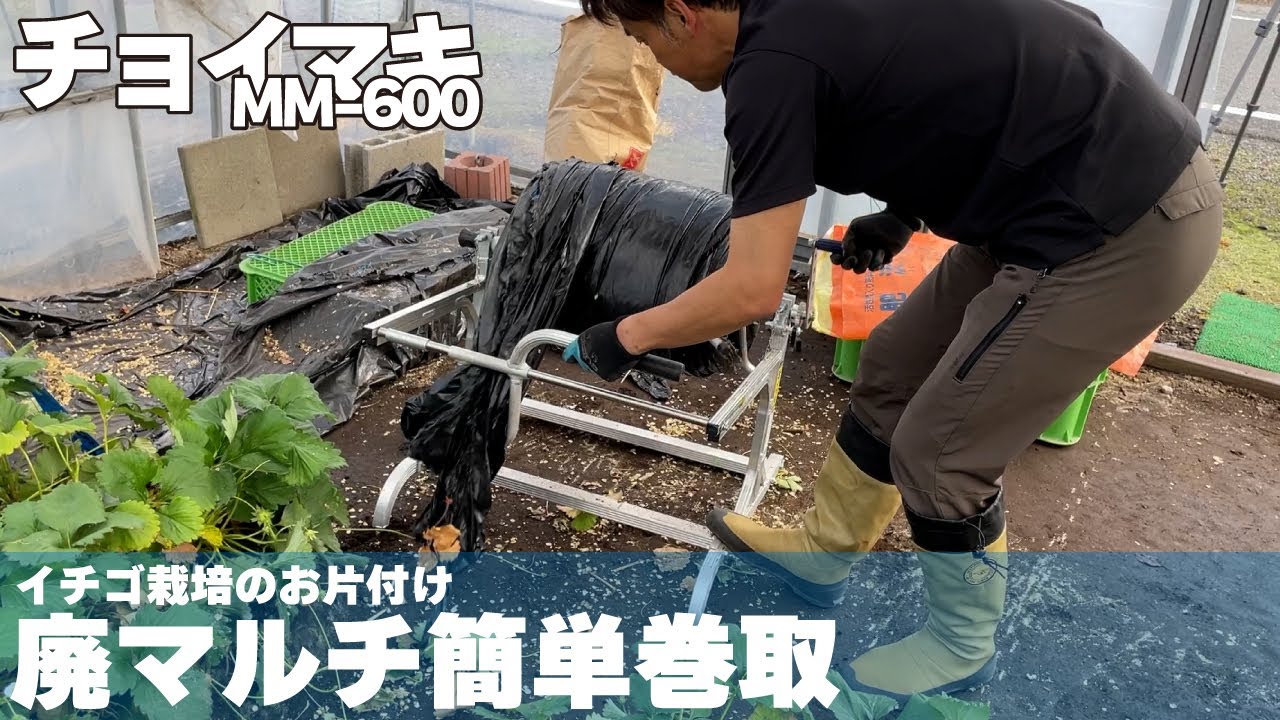 ハラックス マルチ回収器 チョイマキ いちご農家様宅にて - YouTube