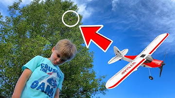 Our RC Plane Got Stuck In a Tree