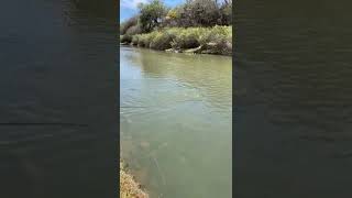 pesca en el Tunal Durango!