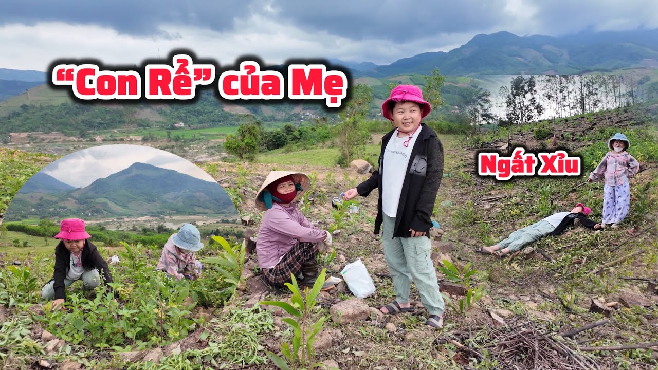 Mẹ Chị Huyền Hrê Tìm “Con Rể” - Tài Tí Tẹo Sắp Ngất Xỉu Khi Tham Quan Đồi Trồng Keo Của Gia Đình