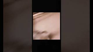  movie history nostalgia cats