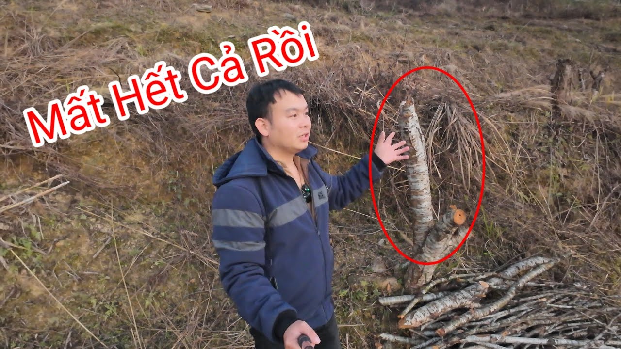 Quá Đau Lòng, Đi Vùng Cao Về Bao Nhiêu Tâm Huyết 10 Năm Qua Thành Tro