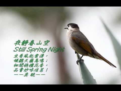 Watch 龍潭夜坐 ☆ Sitting In The Night on YouTube Watch 龍潭夜坐 ☆ Sitting In The Night on YouTube