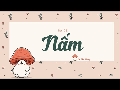 Video Bài 28. NẤM (phần 4) - Khoa học tự nhiên lớp 6 - Sách... - youtube