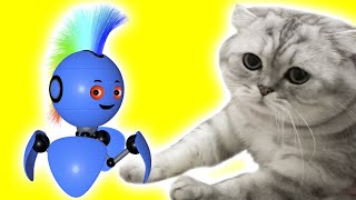 CAT and Robot | Cartoons | Cat and Robot| by Boochi Boom TV 11,672 views 1 year ago 2 minutes, 27 seconds