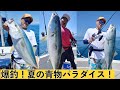 釣れすぎ！夏の青物ジギング！こういう系のジグはブリ系に強い！Jigging