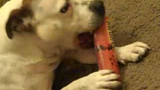 Dont Touch The Chocolate