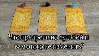 TAROT 2023 Что предрешено судьбой и вам этого не изменить? Гадание на таро Карина Захарова 100 % 108