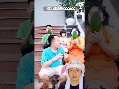 SEMUA PUNYA DAUN ES KRIM KECUALI PAPA #funny